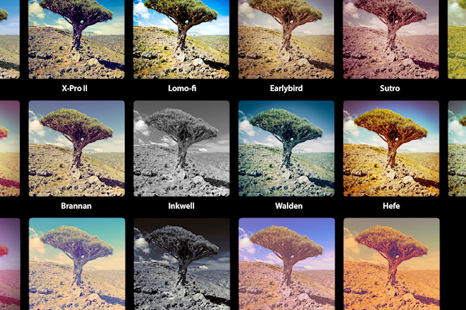 Instagram dépasse Twitter en nombre d’utilisateurs aux Etats Unis