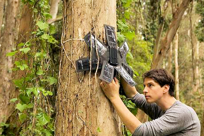 Rainforest Connection - BF