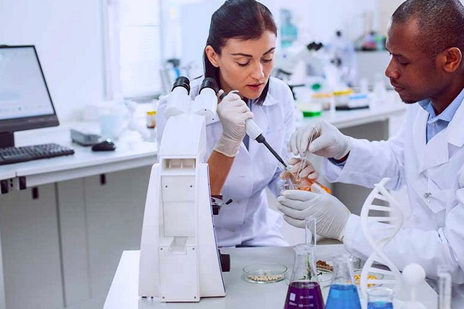 Roche et Bayer, les deux labos pharmaceutiques les mieux positionnés pour utiliser l’IA