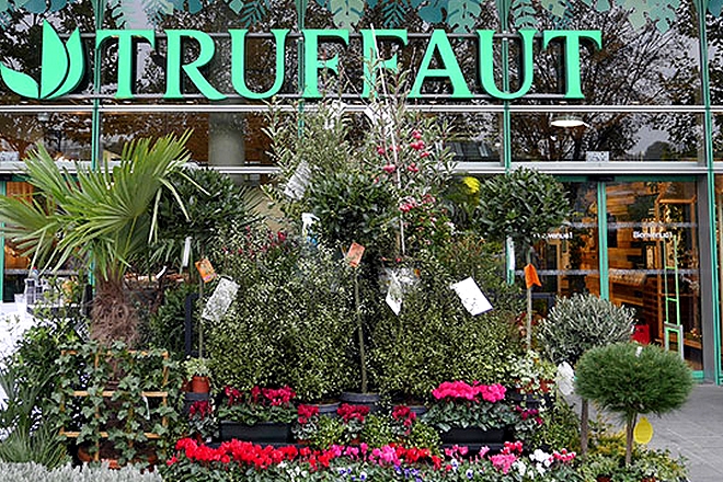 L’enseigne de jardinerie Truffaut victime d’un vol de données personnelles