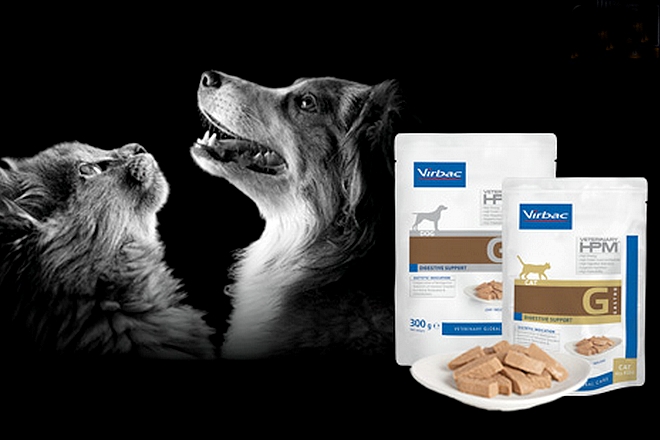 Le laboratoire vétérinaire français Virbac modernise son informatique avec Kyndryl